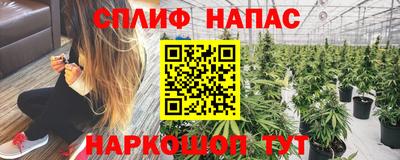 мдпв Кинель
