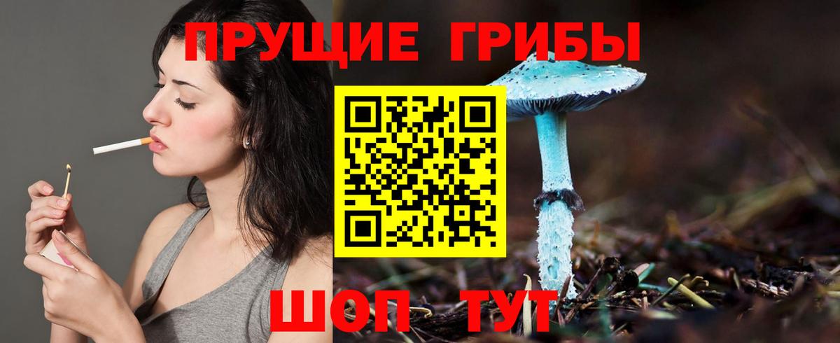 Псилоцибиновые грибы ЛСД Кубинка